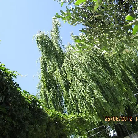 La Casa Di Ketty Bed & Breakfast *